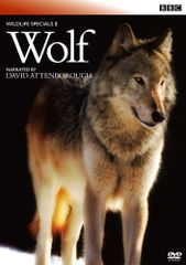 DVD『BBC earth アニマル・ベビー ~野生の成長物語~』 レンタル落ち