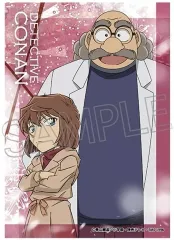 【中古】キャラカード 灰原哀＆博士 「名探偵コナン トレーディングブロマイド Vol.2」