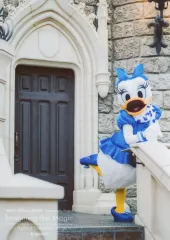 【中古】キャラカード デイジーダック(ブルーのワンピース) 写真 「イマジニング・ザ・マジック“10イヤーズ・オブ・ドリームス＆マジック” 第2弾」 東京ディズニーリゾート限定