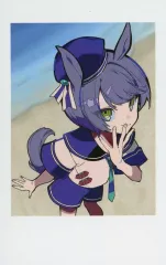 Crazy raccoon CRフェス2025 ありさか 158827-3-