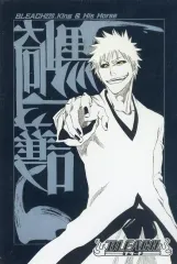 【中古】ポストカード 黒崎一護 「BLEACH -ブリーチ- 扉絵ポストカードコレクション 第2弾」