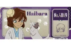 【中古】キャラカード 灰原哀 チケット風カード 「名探偵コナン 2025 AUTUMNフェア」 アニメイト対象商品購入特典