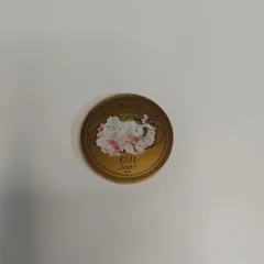 2026年最新】桜の通り抜け 2007の人気アイテム - メルカリ