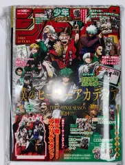 (未開封) 僕のヒーローアカデミア 僕のヒーローアカデミア ヒロアカ 2025 ジャンプGIGA オータム アクリル 付録含む