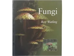 2026年最新】洋書 きのこの人気アイテム - メルカリ