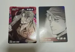 レジン トレーディングカード 걷지않는다리 LegsThatWontWal トレカ セット