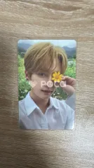 straykids リノ NOEASY 限定盤