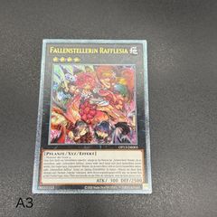 フレシアの蟲惑魔 レリーフ OP13 北米 状態B 特価 - メルカリ