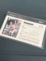 straykids スンミン スキズ Stray Kids 1ST #LoveSTAY SKZ-X ポストカード & IDカード ファイル セット