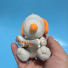 ピーナッツ SNOOPY 犬 キャラクター グッズ ヴィンテージ 小物 トイ ぬいぐるみ Birthday