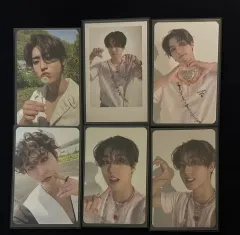 Stray Kids スキズ ハン トレカ maxident