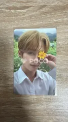 straykids リノ NOEASY 限定盤