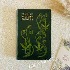 1867年！超希少　手彩色　英国ヴィクトリア時代のアンティーク植物図鑑 1867年！超希少 手彩色 英国ヴィクトリア時代のアンティーク植物図鑑 A