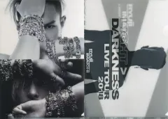 【中古】クリアファイル(男性アイドル) 今市隆二 A4クリアファイル2枚セット 「RYUJI IMAICHI LIVE TOUR 2018 “LIGHT＞DARKNESS”」