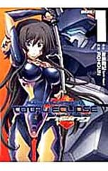 マブラヴ オルタネイティヴ トータル・イクリプス rising 1／ROHGUN