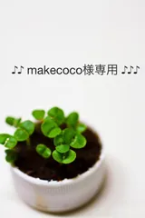 ♪♪ makecoco様専用♪♪