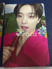 Seventeen ディノ セブチ SECTOR 17 KiT ver.