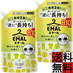 エマール 詰め替え 大容量 洗剤 洗濯 衣類 タオル 洋服 伸び ヨレ 元通り 長持ち ニット 寿命 2倍 シワ 色あせ 毛玉 防止 汗 皮脂 洗浄 リフレッシュグリーンの香り 810ml ×2個のサムネイル