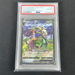 PSA10 ポケカ ポケモンカード ジャローダv csr ポケモンカード ジャローダV CSR PSA10