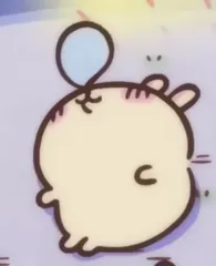 うさぎ キーラメコ