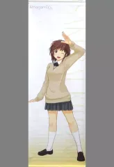 新品未開封✨ アマガミ 桜井梨穂子 ローアングル探偵団 タペストリー 2026年最新】アマガミ タペストリーの人気アイテム - メルカリ