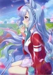 [중고] 클리어 파일 메지로 알단 (그 마음에 불어 넣는다) A4 클리어 파일 vol.9 [말 딸 프리티 더비]