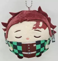 【中古】ぬいぐるみマスコット 竈門炭治郎(すやすやver.) 「鬼滅の刃 ふわコロりん6」 マックスリミテッドオンラインショップBOX購入特典