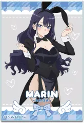 【中古】キャラカード 2.海夢(ありさ)A 「その着せ替え人形(ビスク・ドール)は恋をする Season 2 トレーディングアクリルカード」