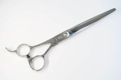 Item thumbnail for item 07918b70-bd64-467a-ad18-60d7ba5803b9