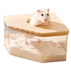 Item thumbnail for item 7285e4e6-c0dd-47cd-a42f-941073399cdd