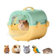 Item thumbnail for item 91e3417c-7be2-46d4-a034-9ebb2550ba16