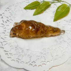 【E17452】 虫入りコパルアンバー コパル 化石 ヤングアンバー