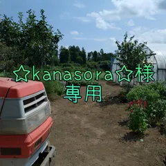 ☆kanasora☆様専用　AC10