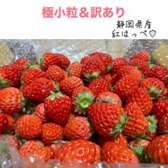 【大容量】朝採り 紅ほっぺ 極小粒 〜農家直送〜 いちご　イチゴ 朝採り 紅ほっぺ 極小粒 〜農家直送〜 いちご - メルカリ