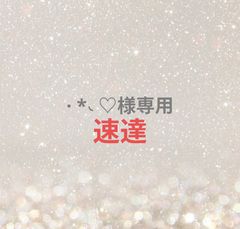 ⌄̈⃝ 出品 ZX-9R – LCIPARTS EXHAUSTS