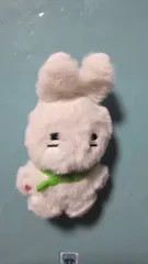 2026年最新】shinee onew ぬいぐるみの人気アイテム - メルカリ