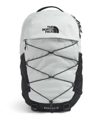 THE NORTH FACE(ザ・ノース・フェイス) Borealis コミューター ノートパソコン バックパック, ティングレー ダークヘザー/アスファルト [ティングレー ダークヘザー/アスファルトグレー/TNF ブラック-NPF] [Free Size]