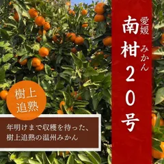 北海道・沖縄県・離島へのお届け専用　愛媛みかん　中生温州みかんの代表品種　南柑20号　【お買い得規格外品】　10kg(箱込)