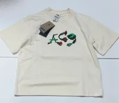 ナイキ レディース acg 半袖 NIKE