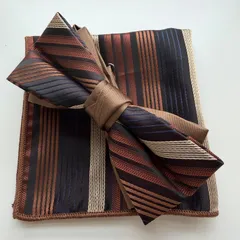 ②-5 蝶ネクタイ　ポケットチーフ2点セット