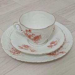 シェリー ディナープレート2枚 セット イギリスアンティーク食器