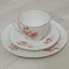 ＊ オーストリア アンティーク Spring&Co. カップ＆ソーサー ケーキ皿 3点セット
