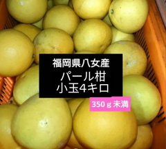 小玉  パール柑(サワーポメロ) 福岡県産 減農薬 4kg