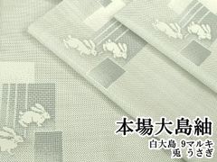 Item thumbnail for item 2c47a408-b07c-4e49-8dcb-ed1fe22d9585