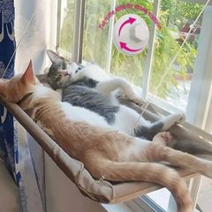 Item thumbnail for item 8ec91c40-39e5-4f12-abfa-8492a4ce0aea