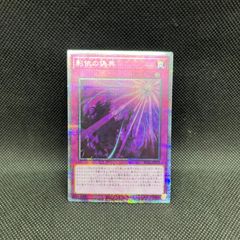 遊戯王 天罰 レリーフ RDS-JP050 5z - メルカリ
