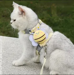 벌, 개, 고양이, 중형, 소형견, 소형견, 고양이, 귀엽고 귀여운 하네스, 강아지 하네스, 중형견, 세련된 목걸이, 강아지, 초소형견, 성견, 개, 개, 개, 개, 개