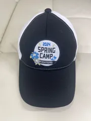 送料無料！！日本ハムファイターズ　キャップ　メッシュ　サイズフリー#80113MOAMT