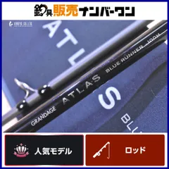 2026年最新】ブルーランナー 100hの人気アイテム - メルカリ