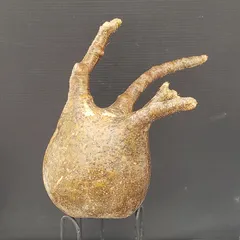 最新入荷グラキリス現地球2個セット 最新入荷グラキリス現地球2個セット 2025年最新】グラキリス 現地球の